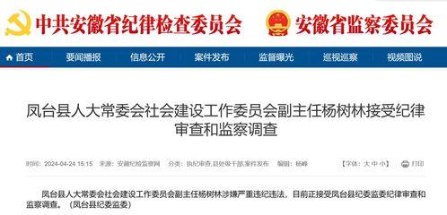 安徽的爆料新闻是什么,揭秘神秘事件背后的真相