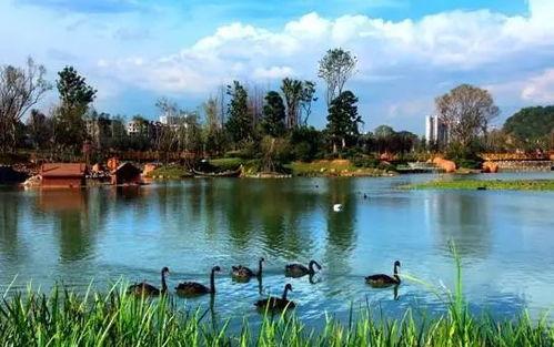 贵州花果园爆料事件最新,揭秘背后真相与影响 第2张 贵州花果园爆料事件最新,揭秘背后真相与影响 第2张